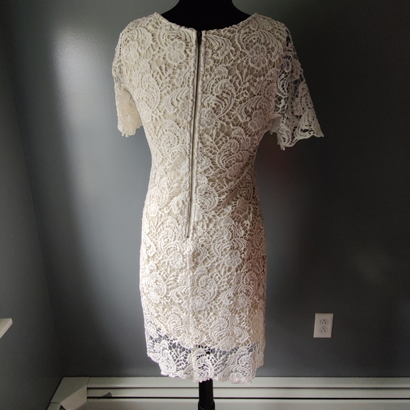 Lace Sheath Dress - Picture 4 of 5